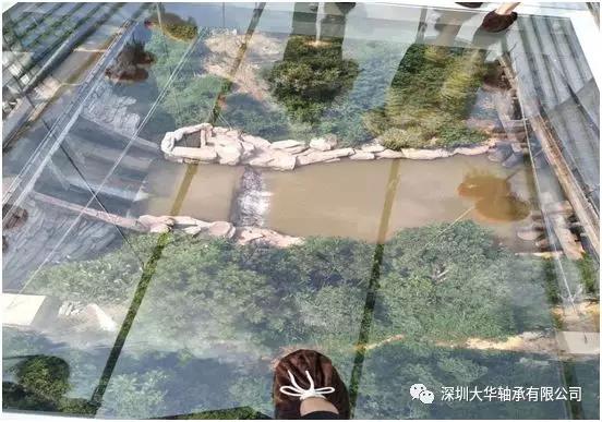 深圳大華軸承2019年戶外拓展培訓 深圳大華軸承2019年戶外拓展培訓